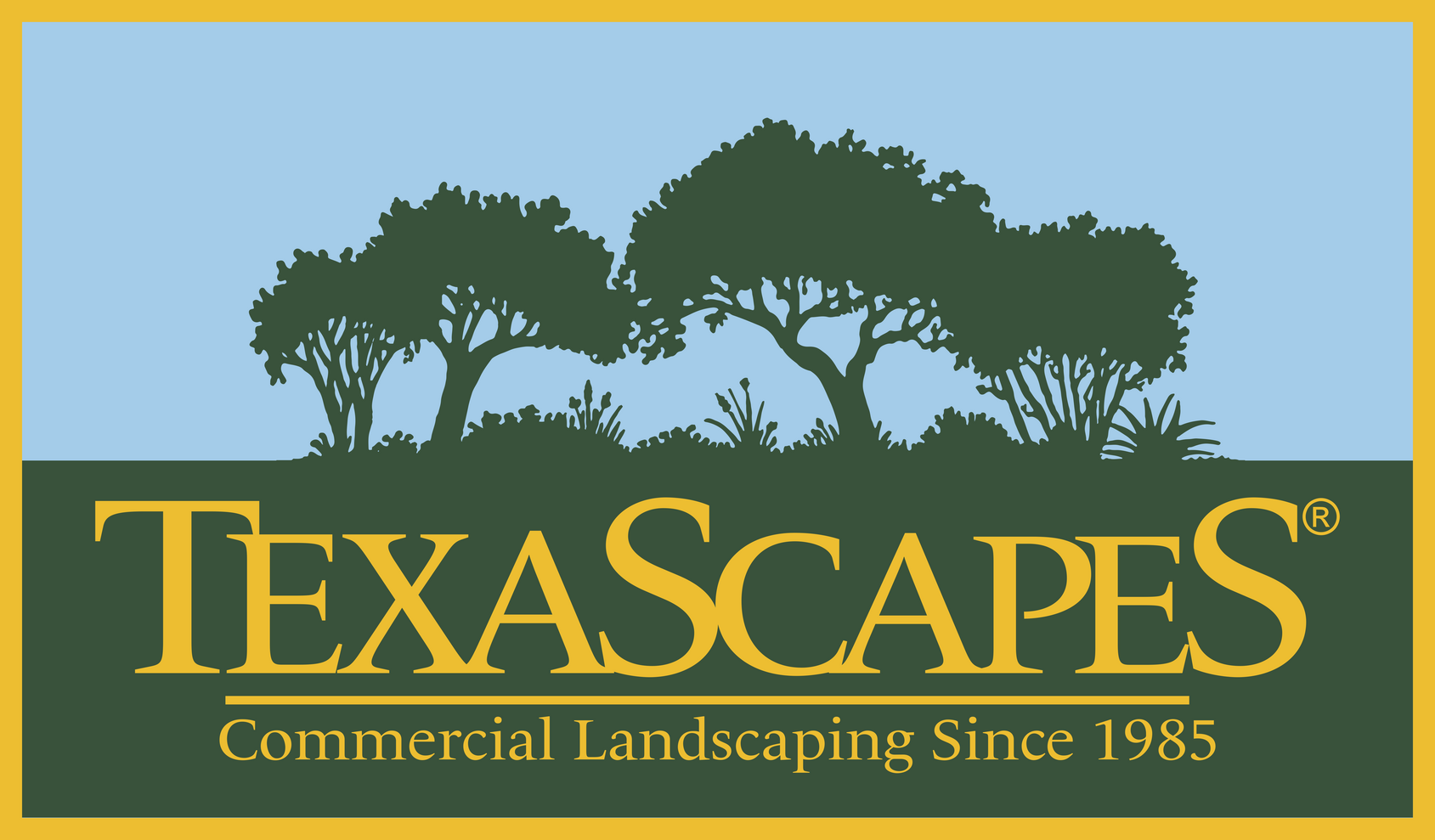 TexaScapes